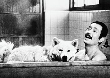 Ultimos dìas del ciclo de cine japonés gratuito en Vicente López