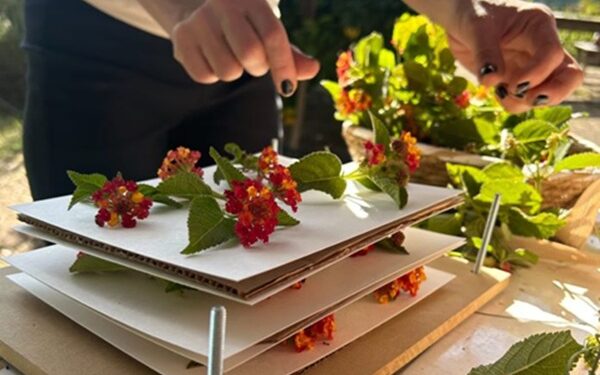 Cazòn: la Expo Vivero y una agenda que continúa