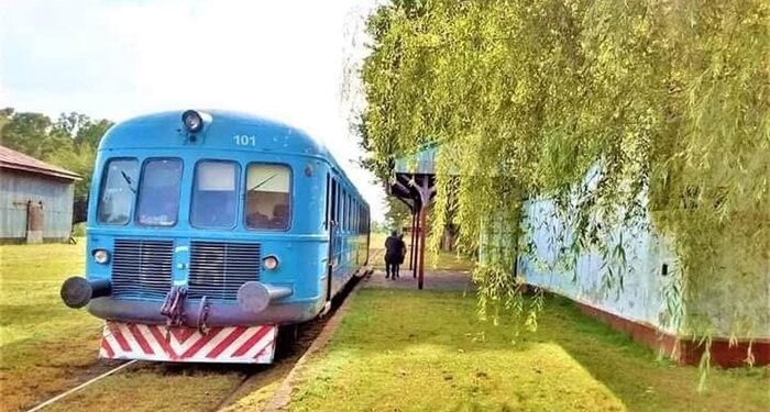 La Primavera florece en Cazòn, con la fiesta más verde de Buenos Aires
