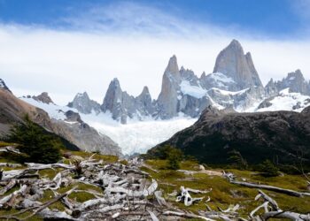 El turismo resisitiò a la pandemia pero no a la motosierra