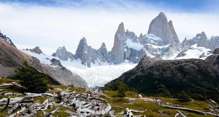El turismo resisitiò a la pandemia pero no a la motosierra
