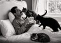 Freddie Mercury amaba tanto a sus gatos que les hablaba por telèfono cuando estaba lejos