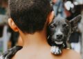 El 57% de los hogares no tiene hijos, y el 75% adoptò una mascota