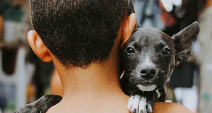 El 57% de los hogares no tiene hijos, y el 75% adoptò una mascota